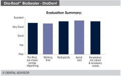 Diadent DiaRoot Biosealer Biyoseramik Kanal Dolgu Patı