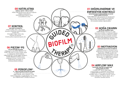 EMS AirFlow Plus Prophylaxis Tozu