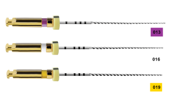 Dentsply Pathfile Rotary Eğe 25 mm 6 lı
