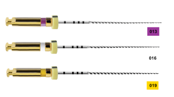 Dentsply Pathfile Rotary Eğe 25 mm 6 lı
