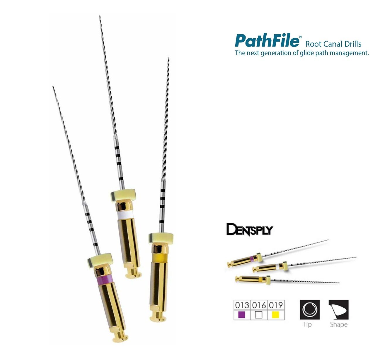 Dentsply Pathfile Rotary Eğe 25 mm 6 lı
