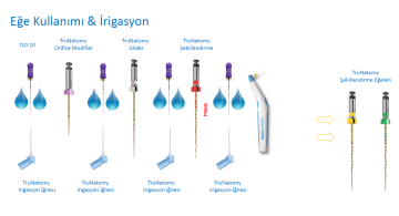 Dentsply Trunatomy Rotary Eğe Asorti