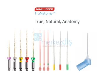 Dentsply Trunatomy Solution Kit