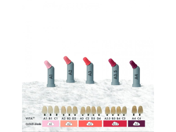 Dentsply Neo Spectra ST HV Kompül Kompozit Refill 16x0.25 gr