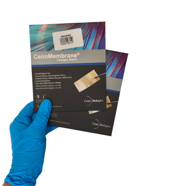 CenoMembran Allogreft Perikardiyal Membran 20*20