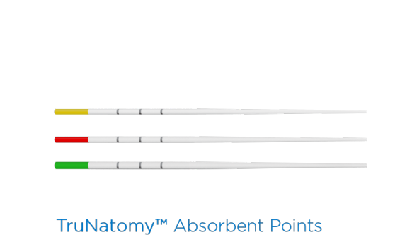 Dentsply Trunatomy Paper Points 180 lik